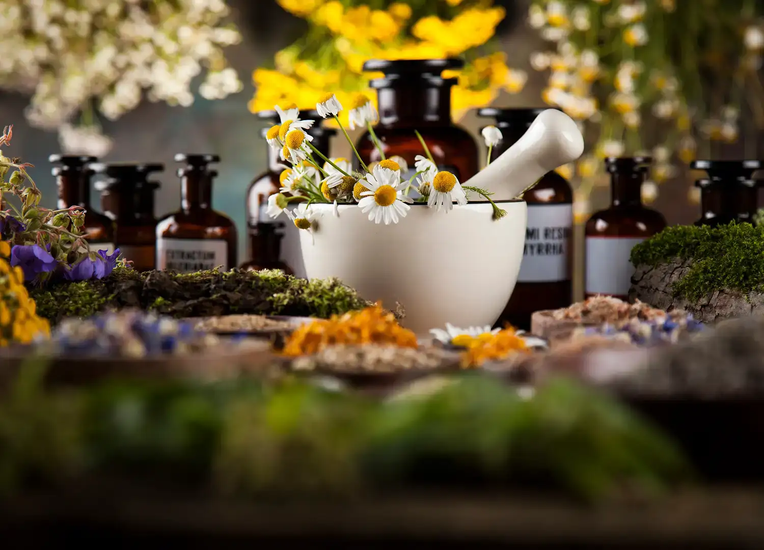 Featured healthcare business