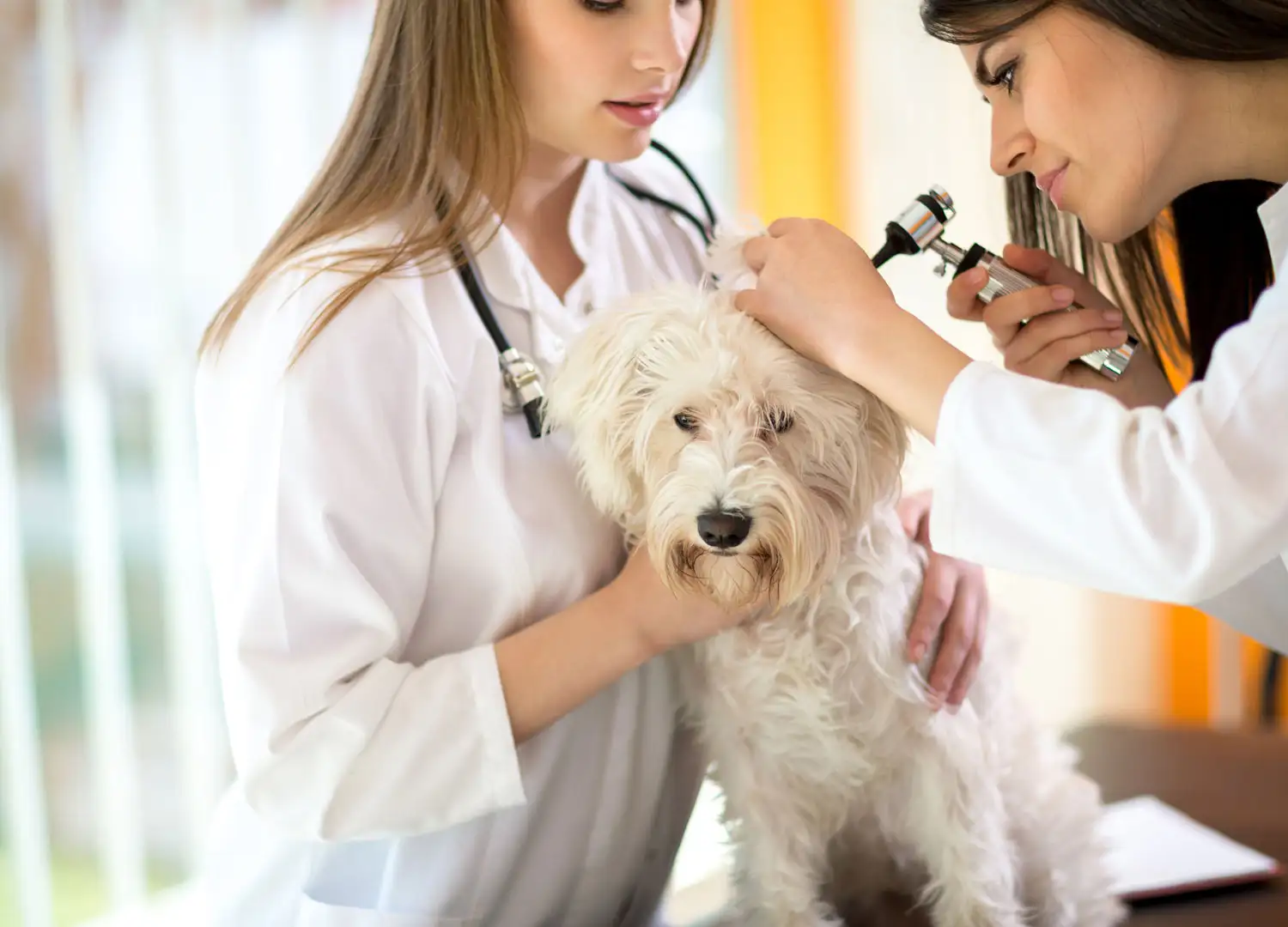 Featured healthcare business