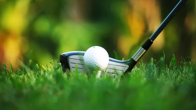 Sports and Recreation